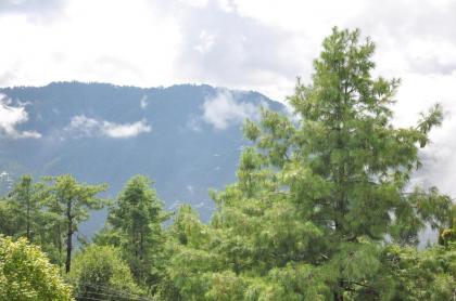 Hotel One Bhurban - image 15