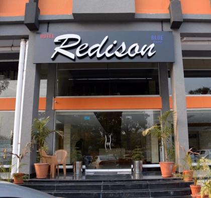 Hotel Redison Blue Area - image 11