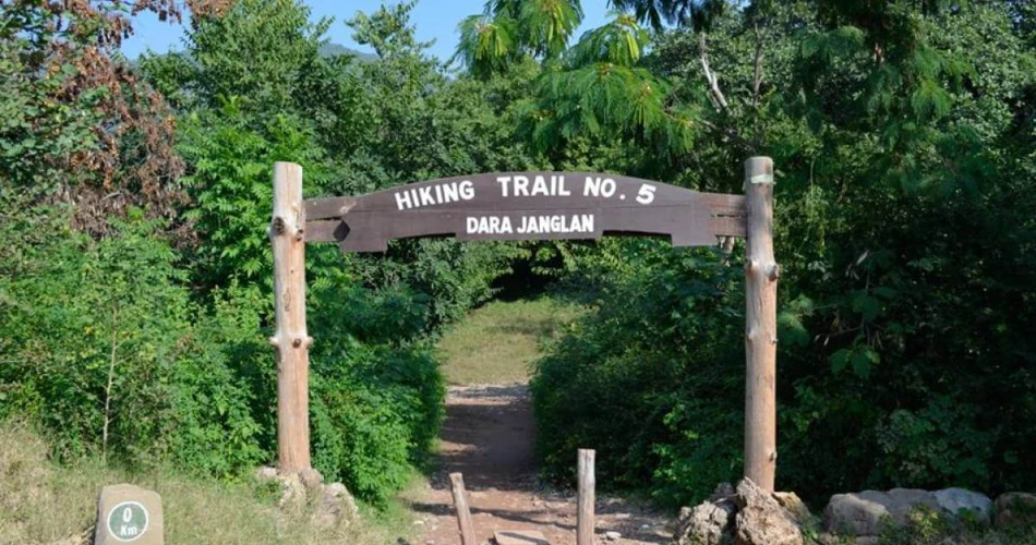 Ultimate Hiking Trails in Islamabad: A Guide to Margalla Hills