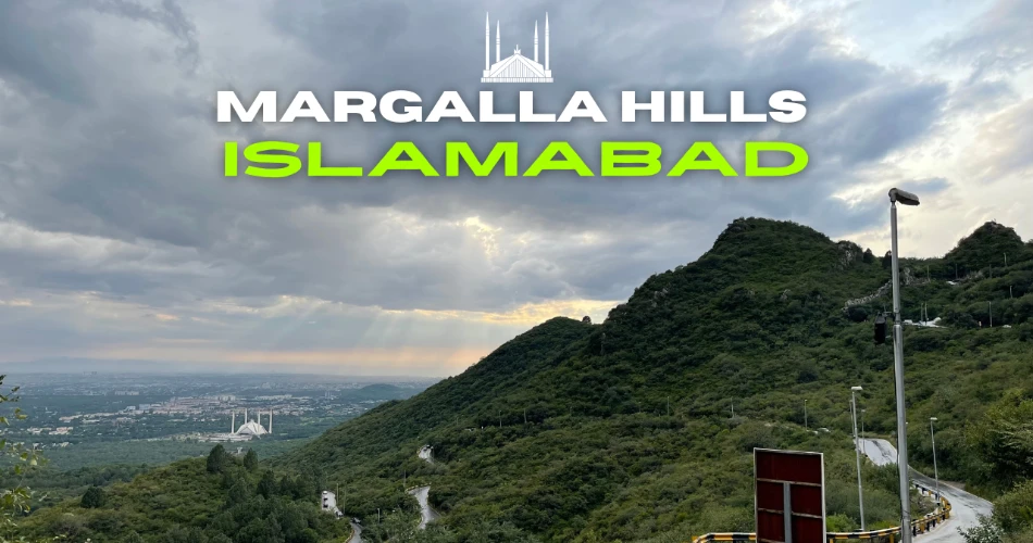 Ultimate Hiking Trails in Islamabad: A Guide to Margalla Hills