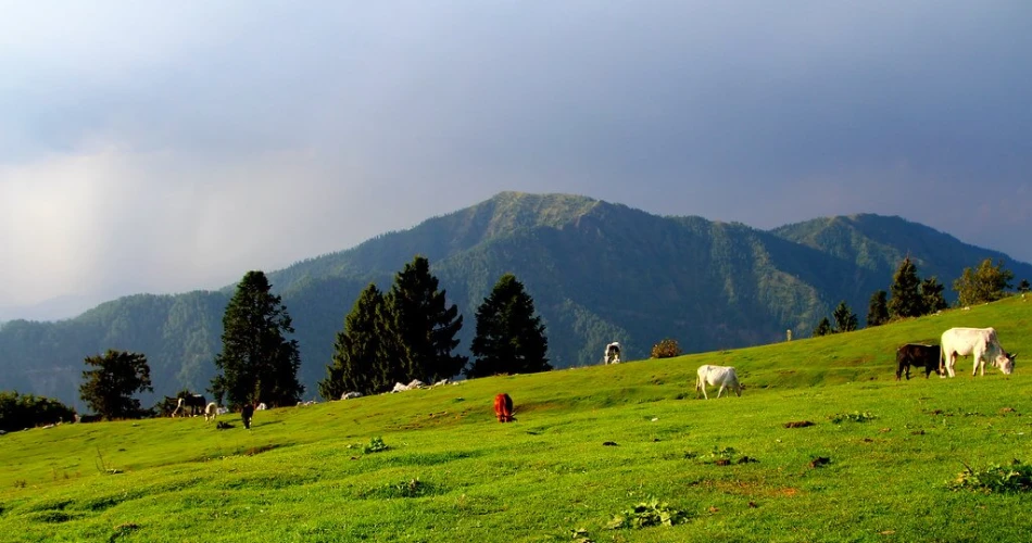 Best Weekend Getaways Near Islamabad for Nature Lovers