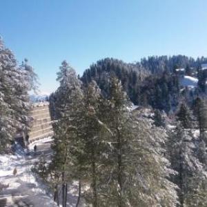 Shangrila Hotels  Resorts Changla Gali