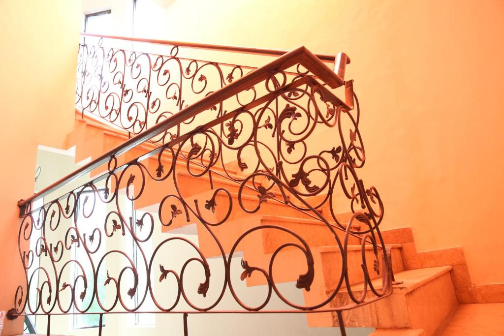 Apex Inn Guest House - image 2