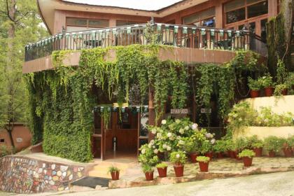 Shangrila Hotels and Resort Murree - image 9