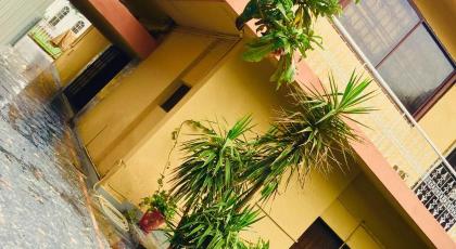Star House Islamabad - image 3