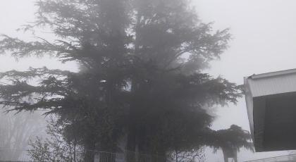 Grand Heights Hotel - image 22