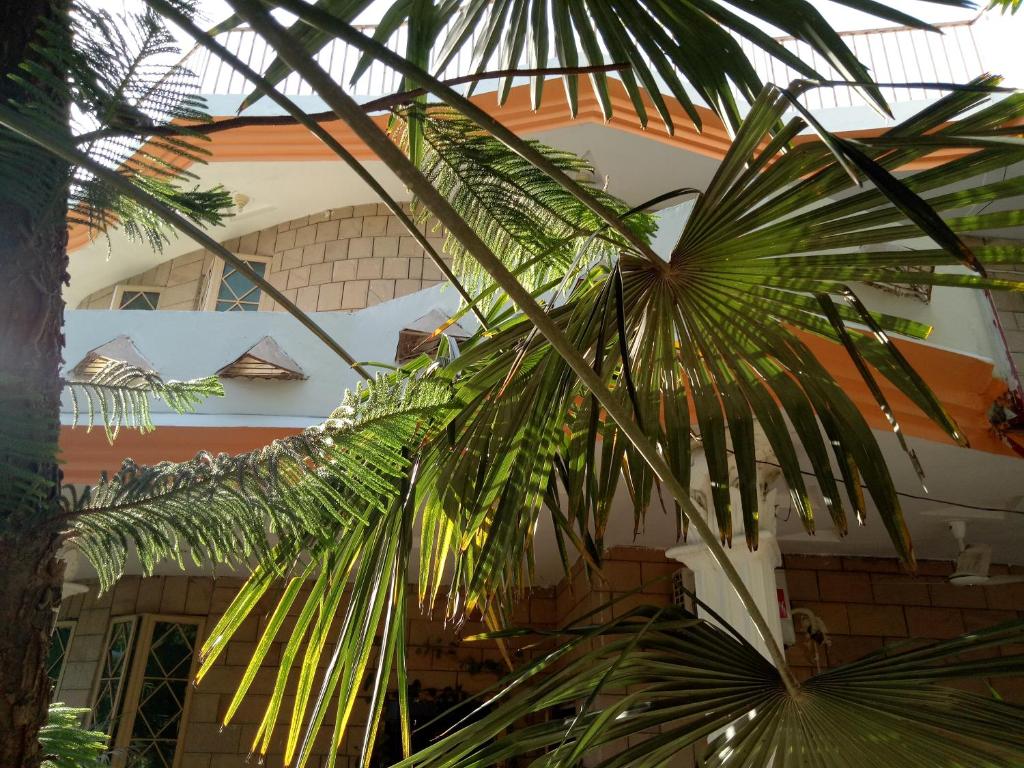 Orion Inn Guest House - image 3