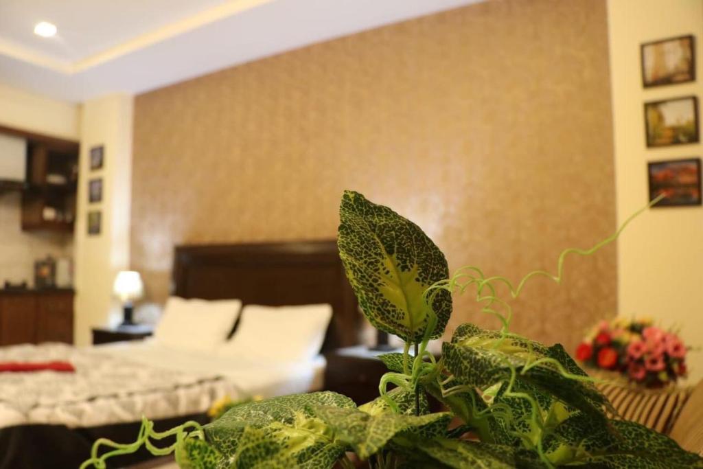 Cozy Studio Apartment In Bahria town - image 5
