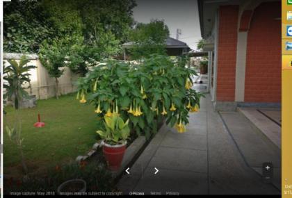 Pak Palace Guest House Abbottabad - image 4