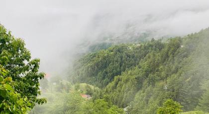 Shagufta Hotel - image 12