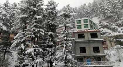 Shagufta Hotel - image 5