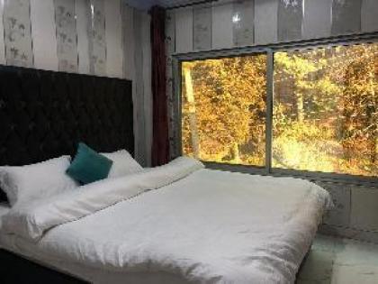 Pakeeza INN Apartment
