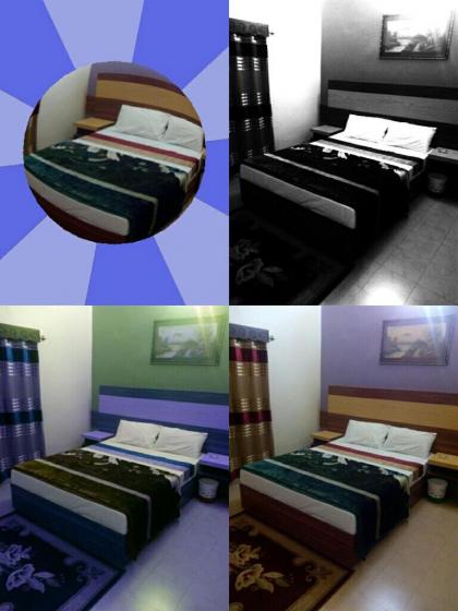 Springfield Guest House Rawalakot - image 17