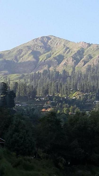 Springfield Guest House Rawalakot - image 5