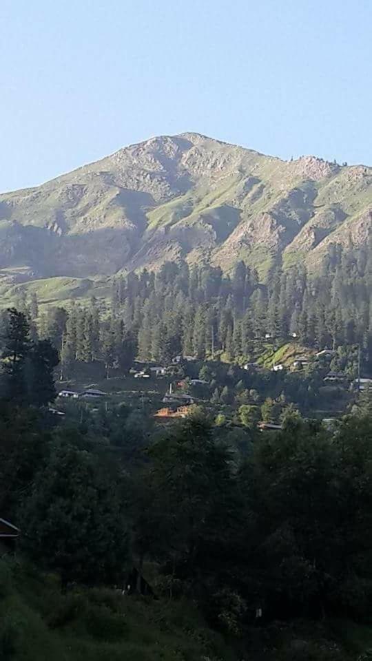 Springfield Guest House Rawalakot - image 5