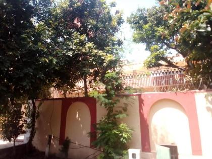 Newly Renovated GuestHouse - image 11