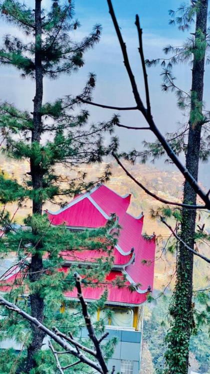 Shagufta Royal Hotel Murree - image 6