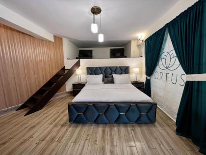 Ortus - Murree Hills - image 22