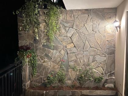 Ortus - Murree Hills - image 27