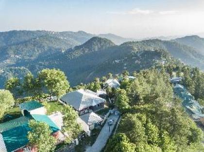 Mountain Terrace - Khaira Gali - image 3