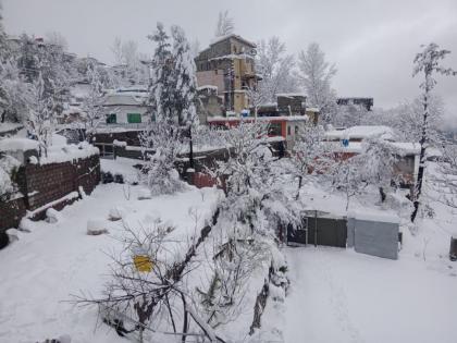BHURBAN VIEW APARTMENTS - image 3