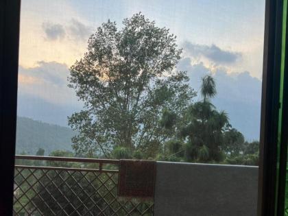 Chinar Inn - image 8