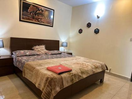 Entire One Bedroom Furnished Apartment - image 26