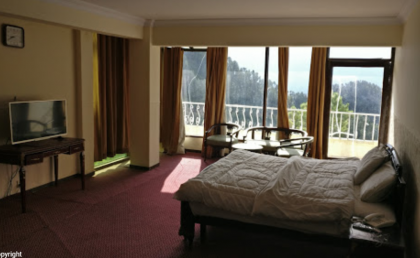 Daisy Dot Hotel - image 14