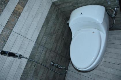 Daisy Dot Hotel - image 29