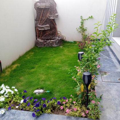 Syed's Islamabad 