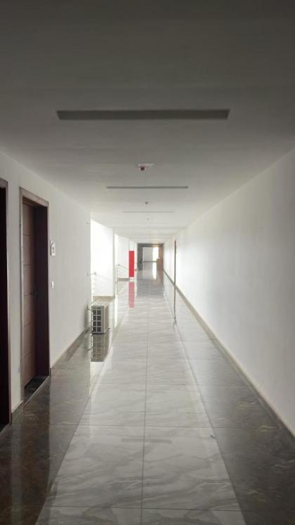 Entire Studio Apartment - image 3