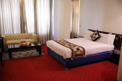 Hotel De Papae - image 10