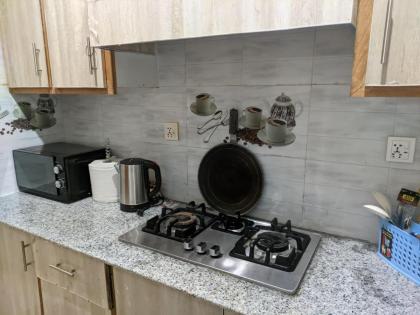 New 2 Bedroom Apartment Luxurious Nice Location - image 9