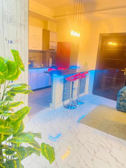 Viceroy Luxury Hotel Apartments Islamabad - image 13