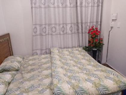 Rehan's super launge with Free Internet - image 11