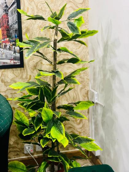 Urban Oasis in F10: Elegant 1BHK Apartment - image 20