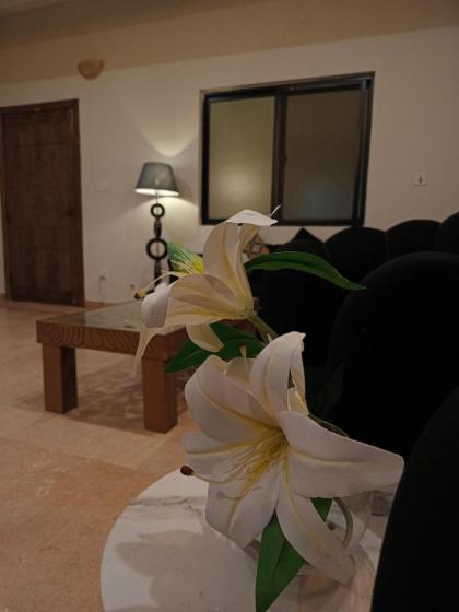 102 Omega Heights Two Bedroom Family Apartment Islamabad